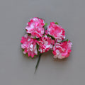 Lot de fleurs fuchsia/blanc