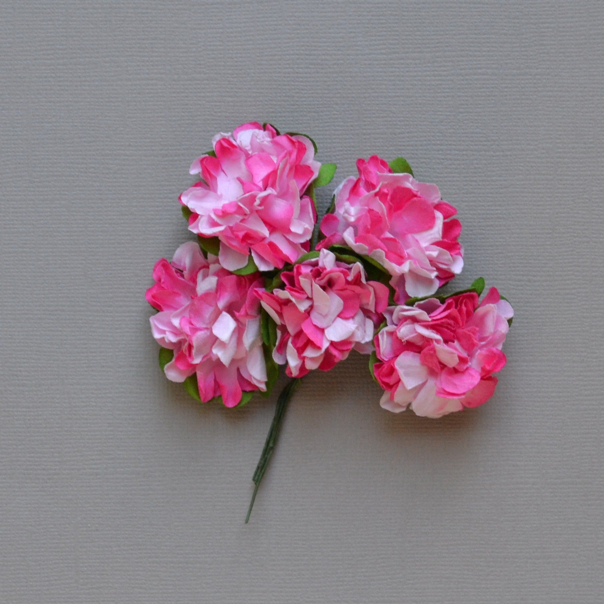 Lot de fleurs fuchsia/blanc