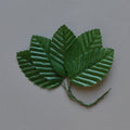 Lot de 5 feuilles vertes