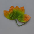Lot de 5 feuilles marron et verte