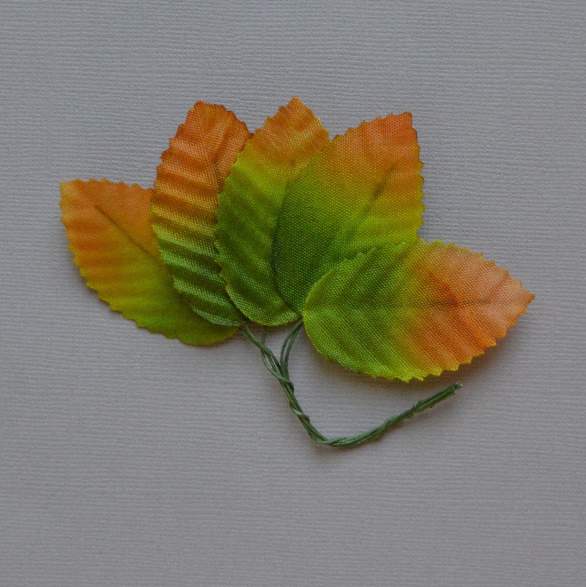 Lot de 5 feuilles marron et verte