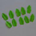 Lot de 10 feuilles verte