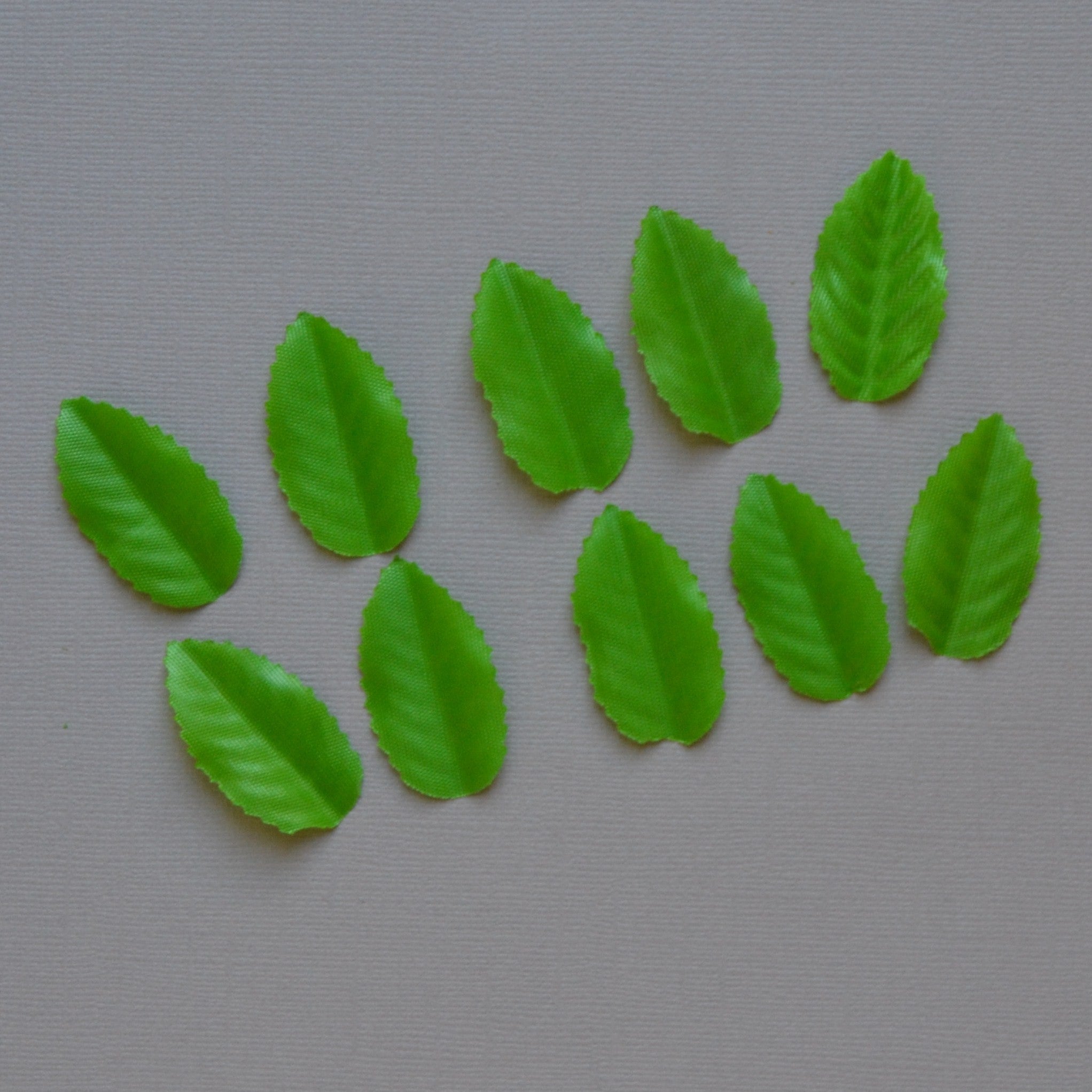 Lot de 10 feuilles verte