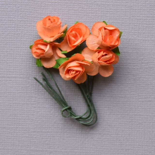 6 mini roses orange