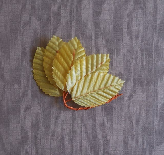 Lot de feuilles jaunes