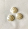 Embellissement coquillage perle