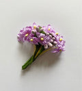Bouquet de fleurs mauves