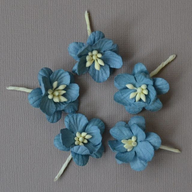 5 fleurs de cerisier bleu