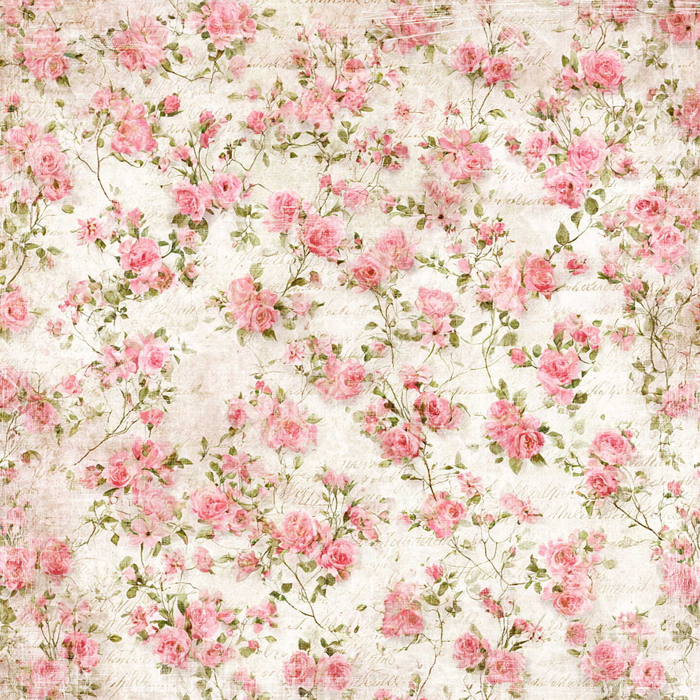 Lot de papiers 20/20 cm Reprint collection Summer Garden