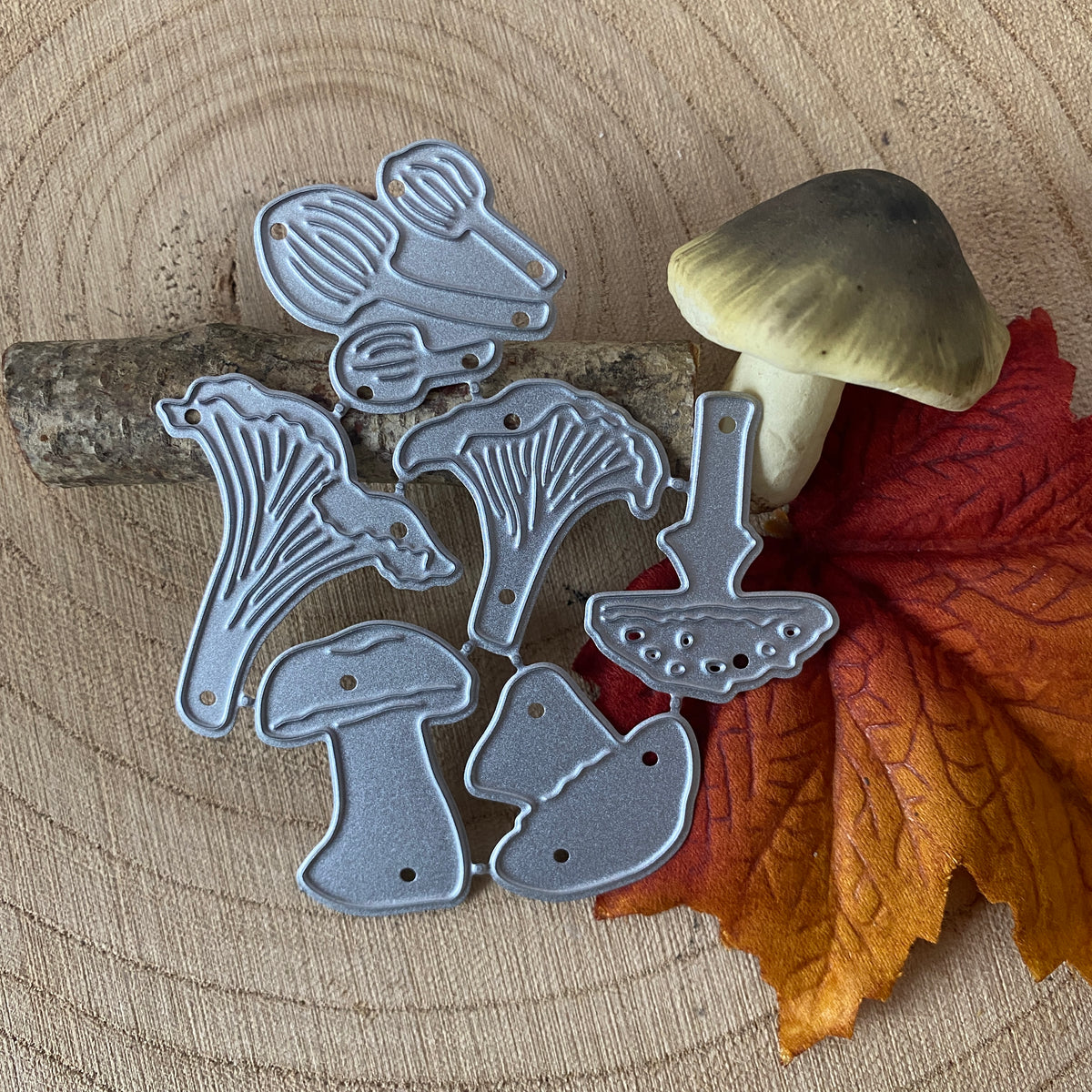Dies Champignons