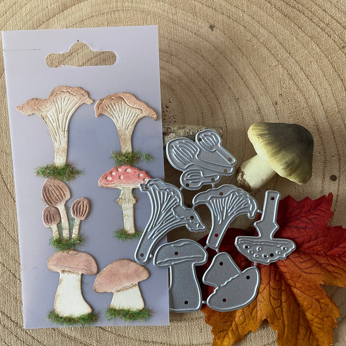 Dies Champignons