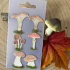 Dies Champignons