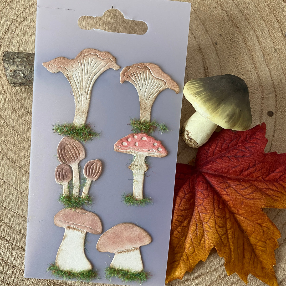Dies Champignons