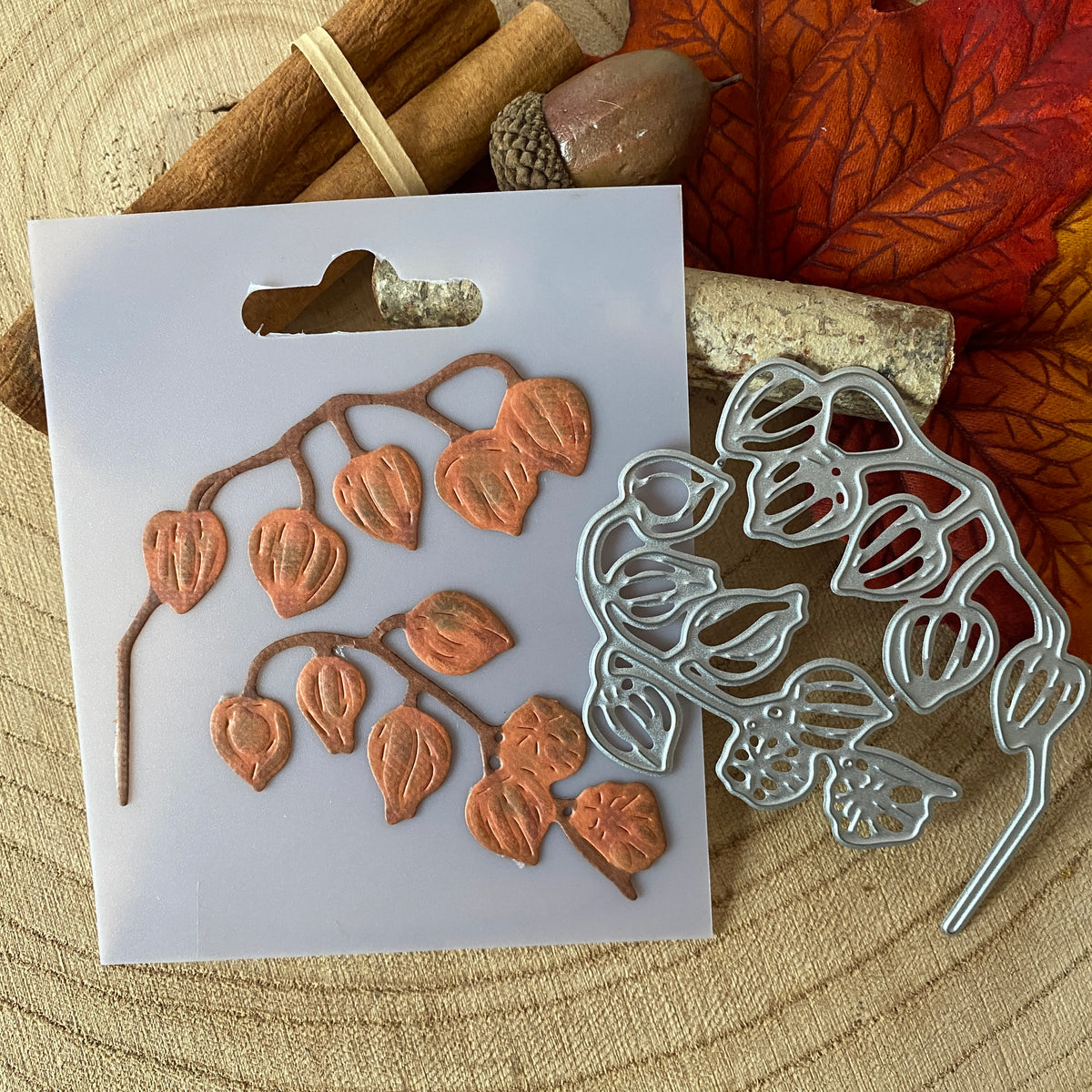 Dies Physalis