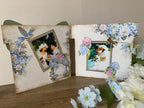 Album paquet cadeau