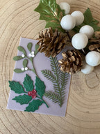 Dies ensemble feuillages d'hiver