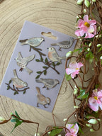 Dies Ensemble d'oiseaux