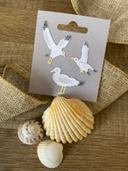 Dies Mouettes