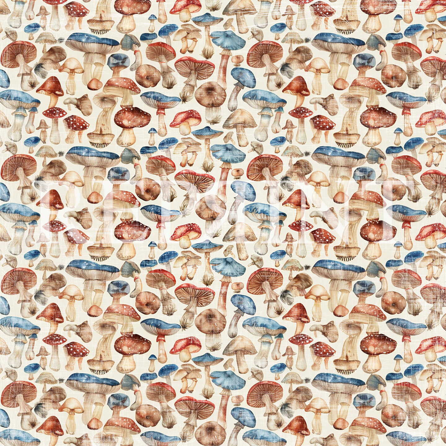 Papier 30/30 Mushroom Fall
