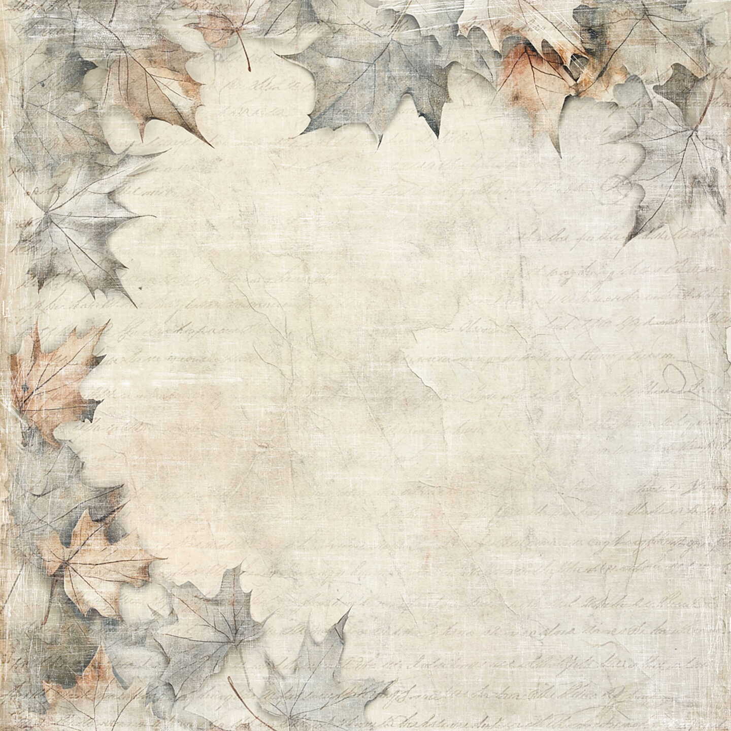 Lot de papiers 20/20 cm Reprint collection Cozy Season