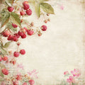 Papier 30/30 Summer Garden